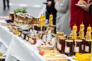 12-DOV-foto_kLemen Razinger_CCN 2019_low res-8302_DSC8302